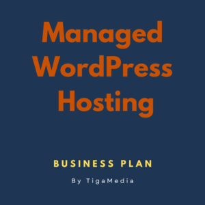 Managed WordPress Hosting - Business Plan
