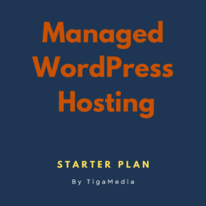 Managed WordPress Hosting - Starter Plan